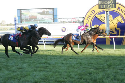 ROYAL CHARADES WINS AGAIN..